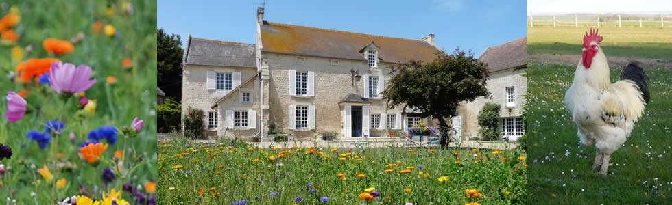 Gîte